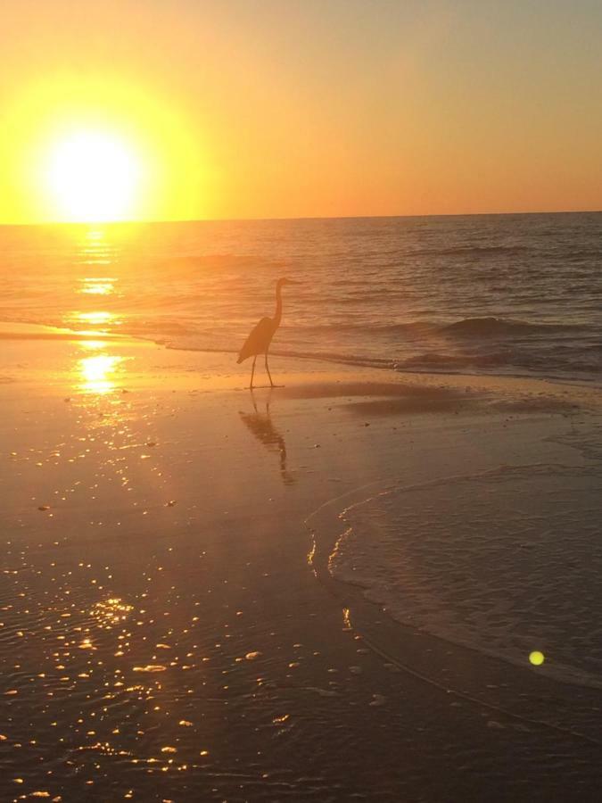 Beautiful! Sunset Harbor Condo For 2-Top Floor 1-309, Navarre Beach Eksteriør billede